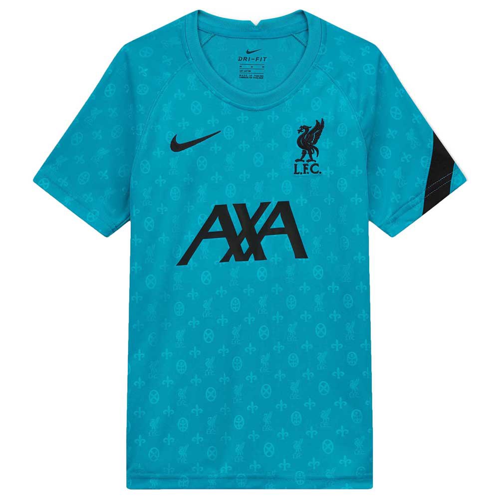 Nike Camiseta Liverpool Fc Pre Partido 20/21 Energy / Black / Black