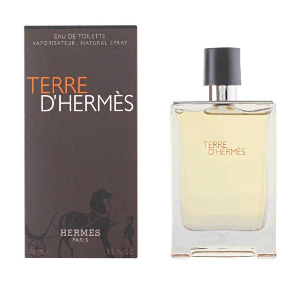 Hermes Terre D Pour Homme Eau De Toilette 100ml One Size