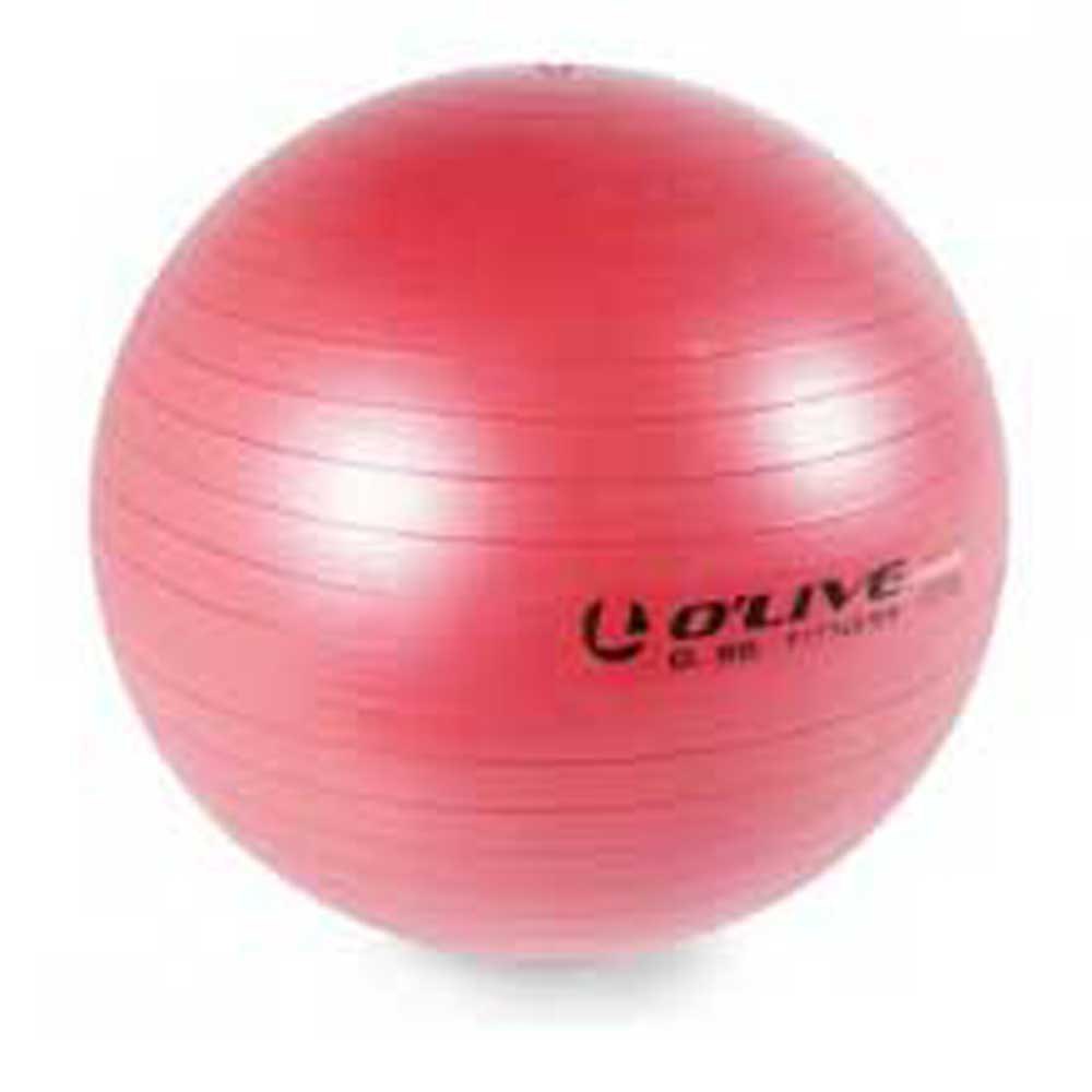 Olive Fitness 55 cm Red
