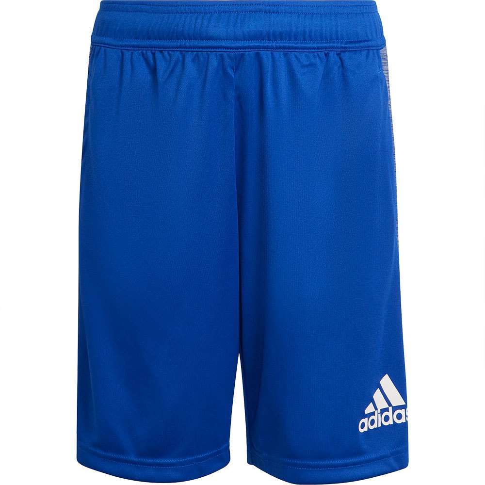 Adidas Heather Shorts Bleu 164 cm