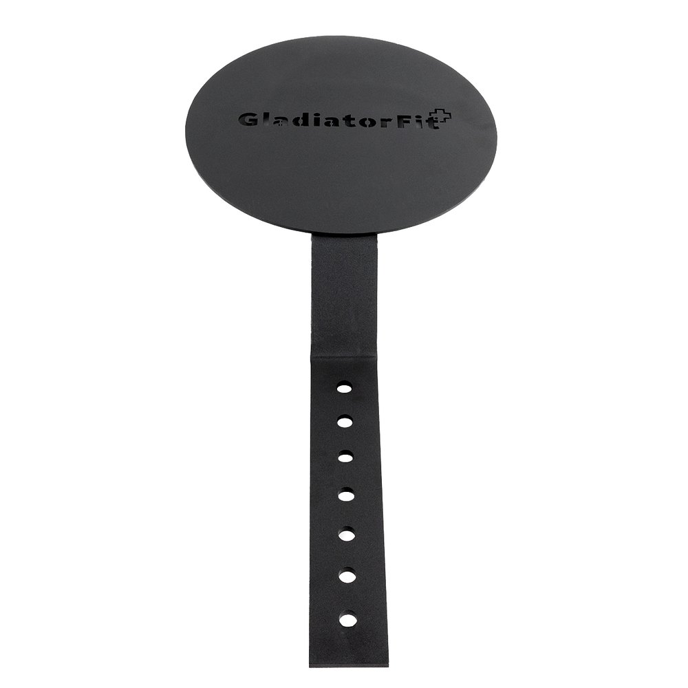 Gladiatorfit Steel Target For Medicine Ball And Wall Ball Noir 79.5 x 40 x 11 cm