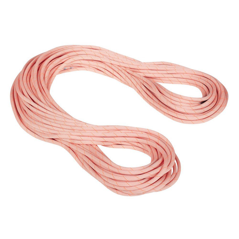 Mammut Gym Workhorse Classic 9.9 Mm Rope Rose 50 m