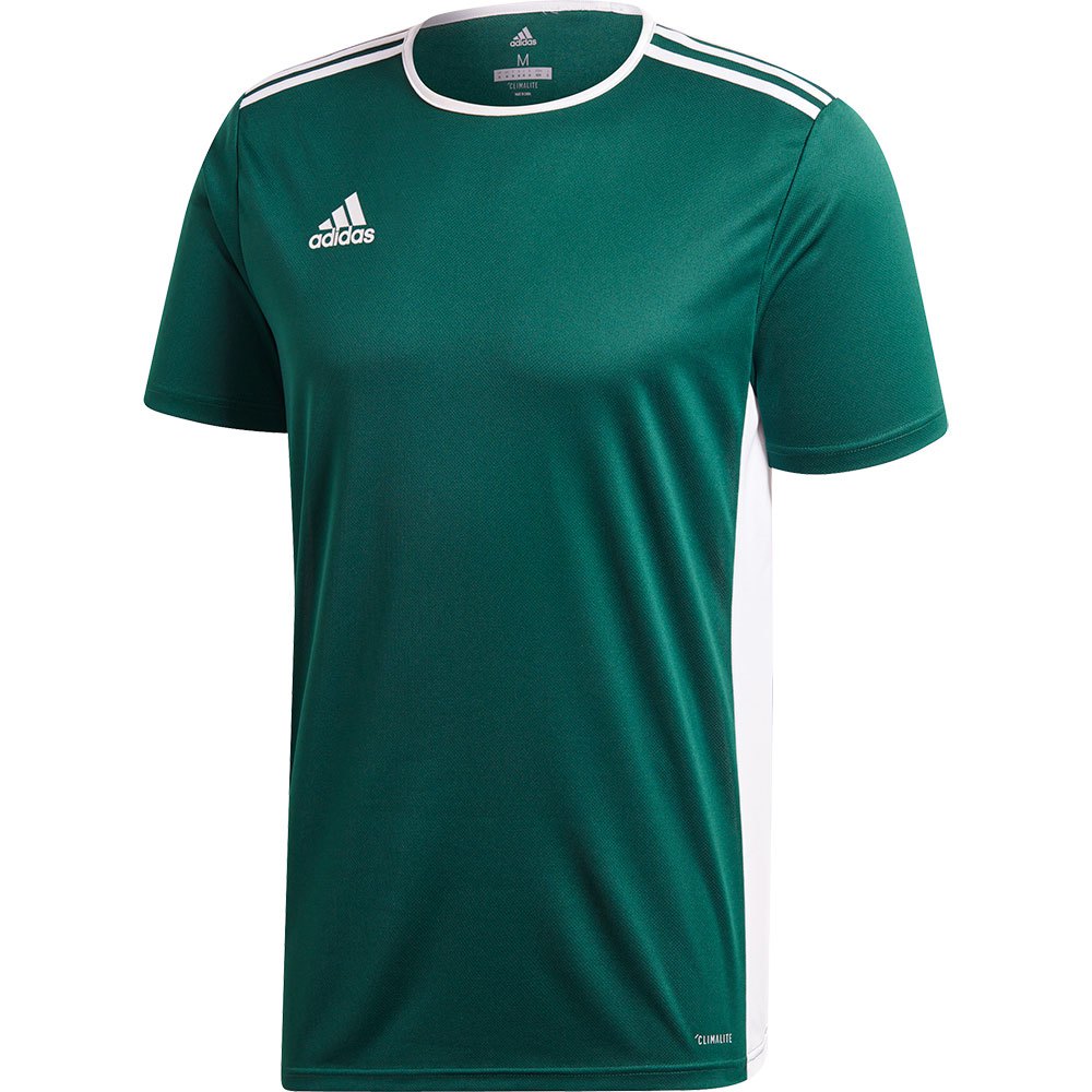 Adidas Entrada 18 Short Sleeve T-shirt Vert 2XL Homme