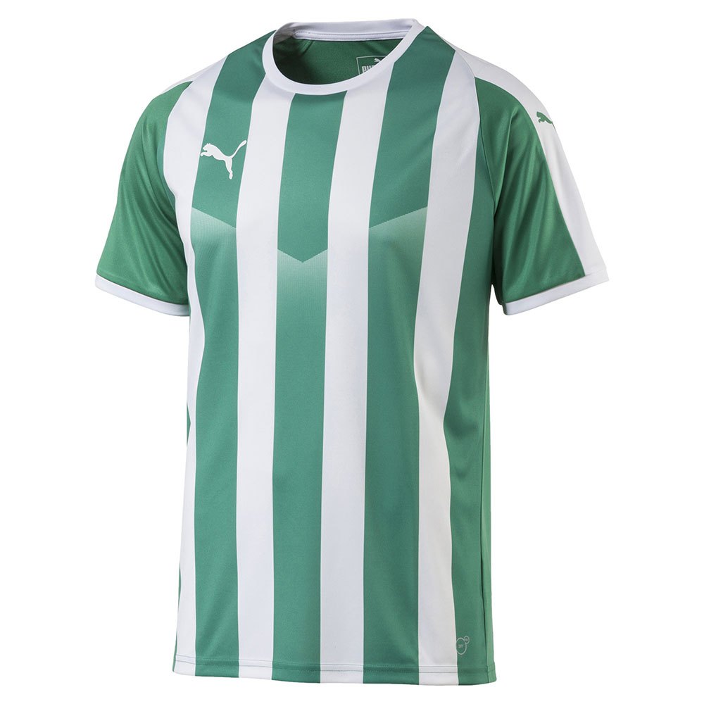 Puma T-shirt Manche Courte Liga Striped L Pepper Green