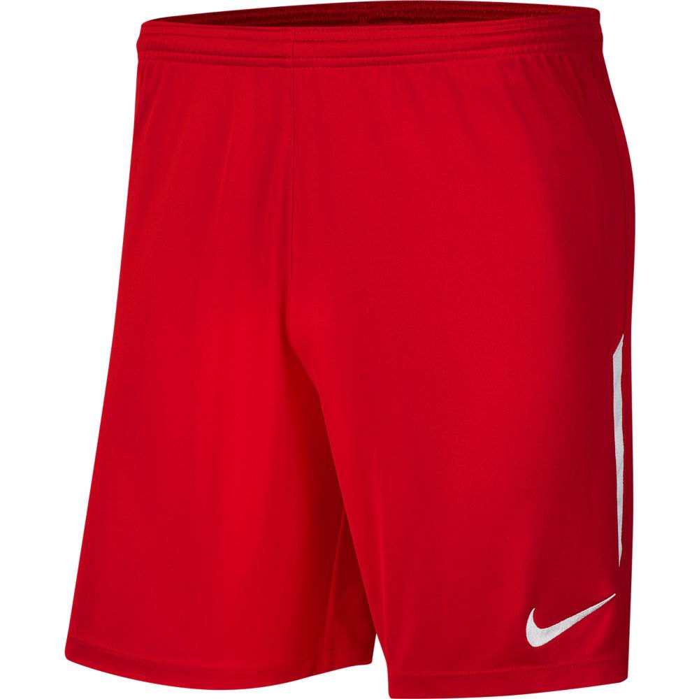 Nike Dri Fit Shorts Rouge L Homme