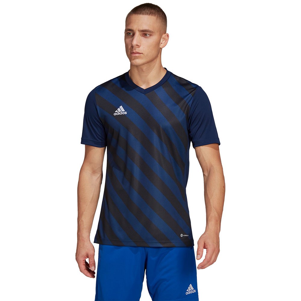 Adidas Entrada 22 Gfx Short Sleeve T-shirt Bleu 2XL / Regular Homme