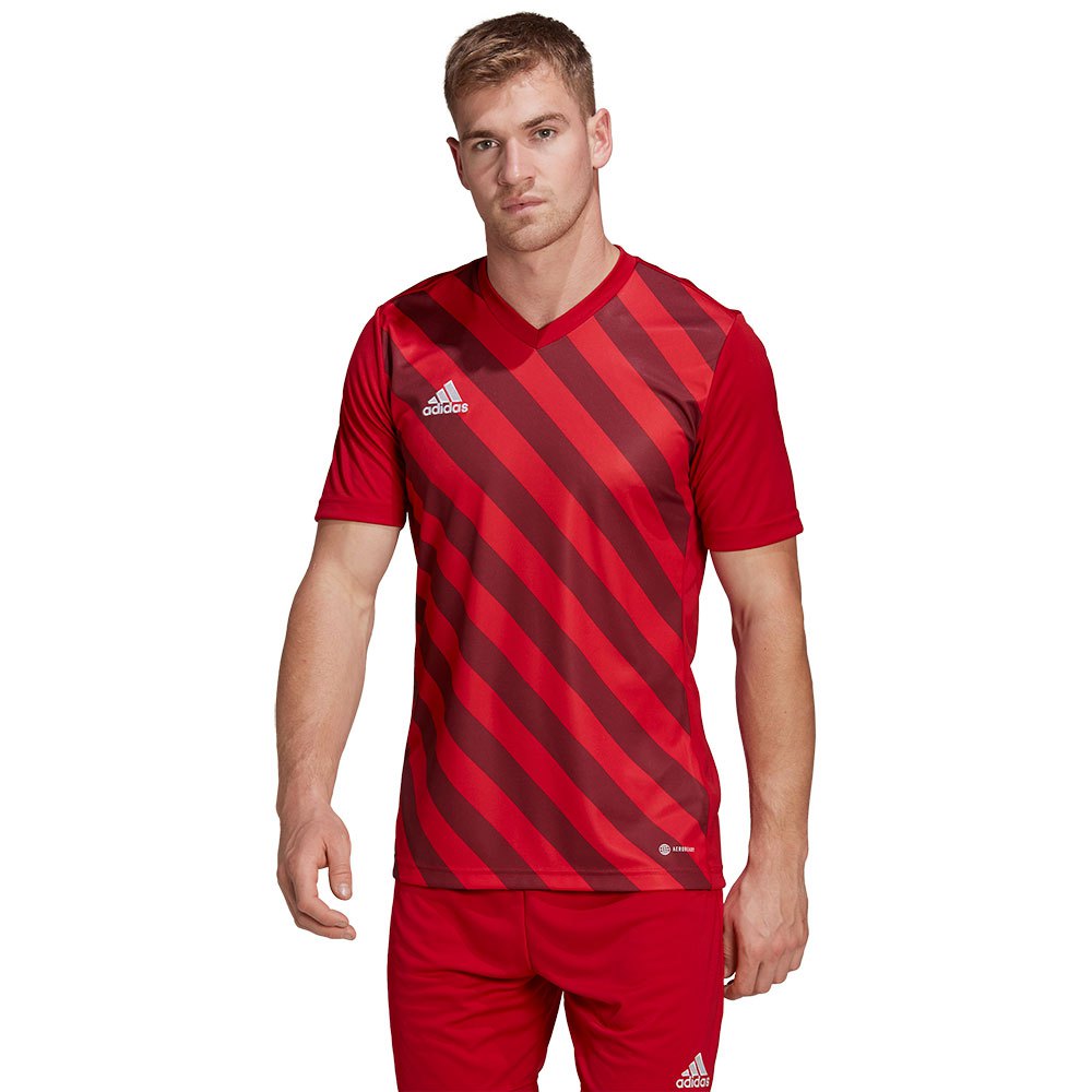 Adidas Entrada 22 Gfx Short Sleeve T-shirt Rouge XS / Regular Homme