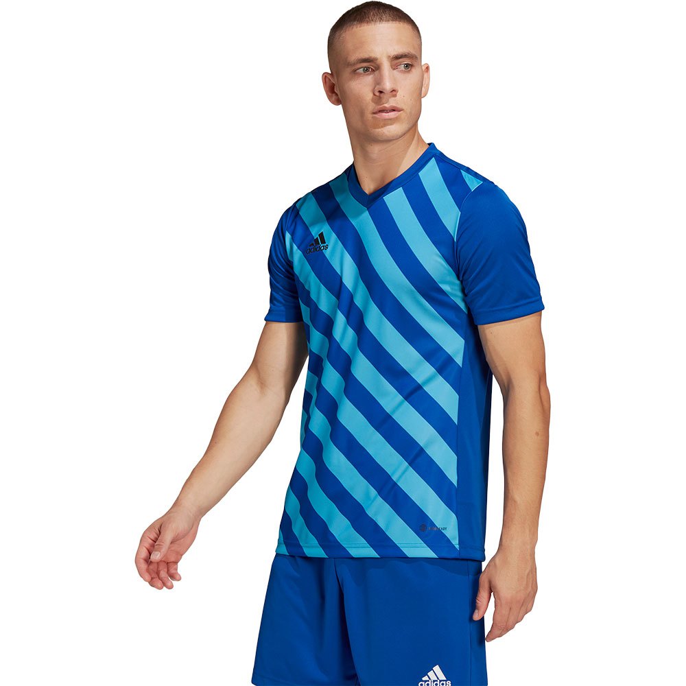 Adidas Entrada 22 Gfx Short Sleeve T-shirt Bleu 2XL / Regular Homme