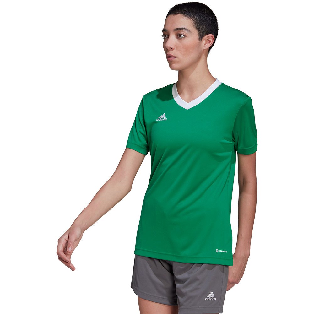 Adidas Entrada 22 Short Sleeve T-shirt Vert XS Femme