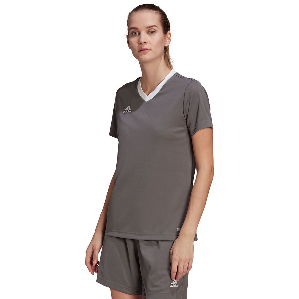 Adidas Entrada 22 Short Sleeve T-shirt Gris M Femme