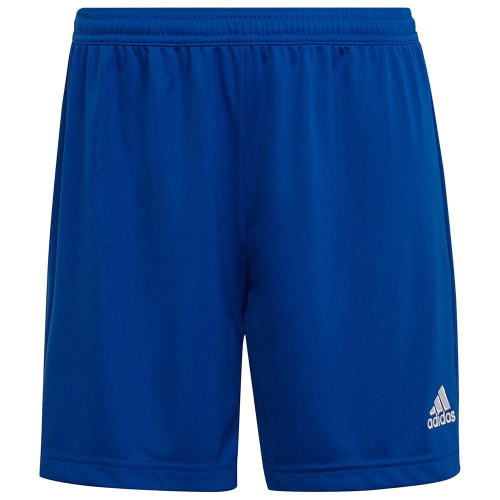 Adidas Entrada 22 Shorts Bleu XL