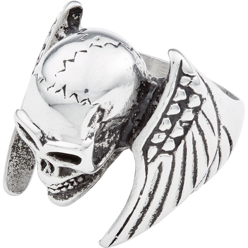 Equipement officiel Stainless Steel Winged Skull
