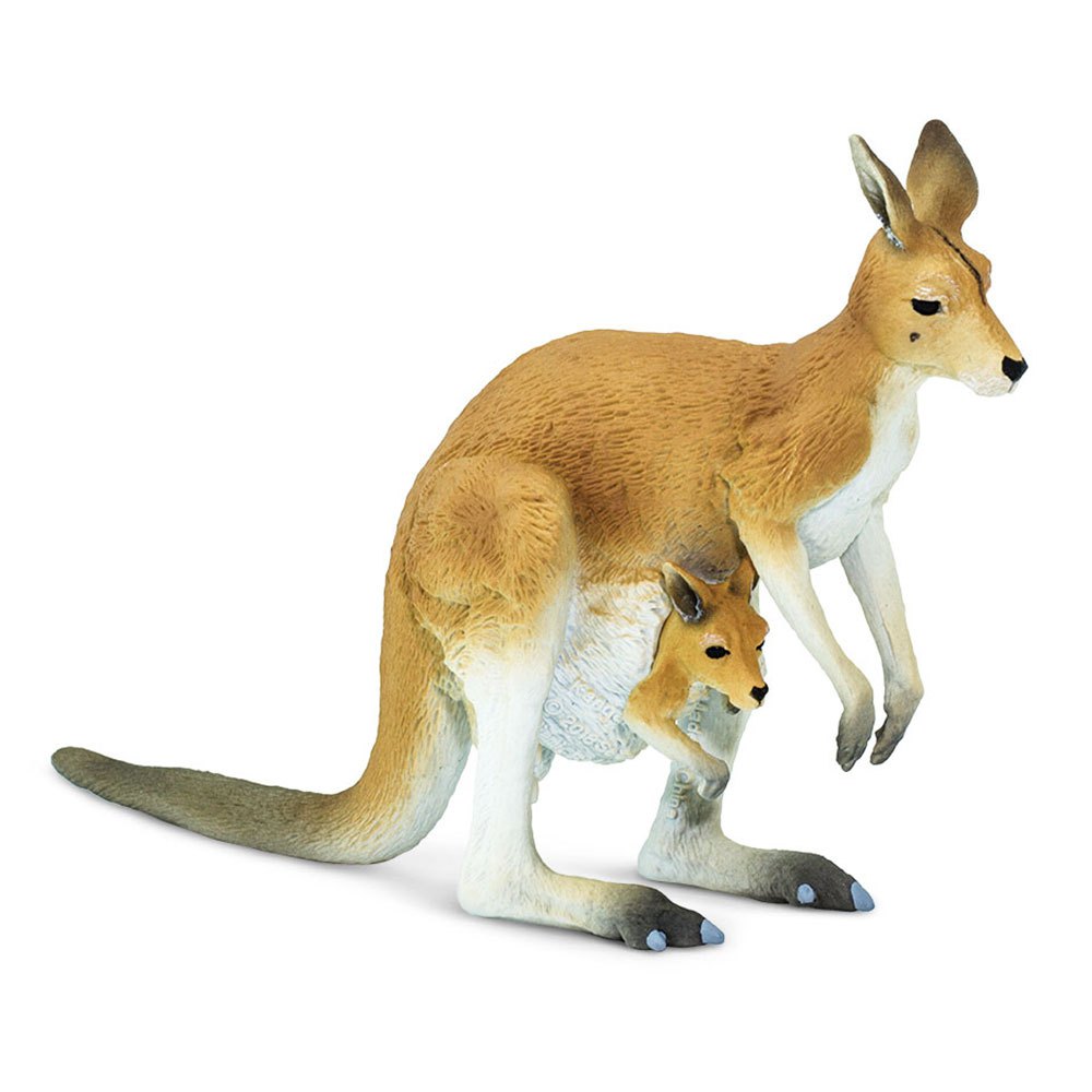 Safari Ltd Kangaroo With Joey From 3 Years Light Brown / White