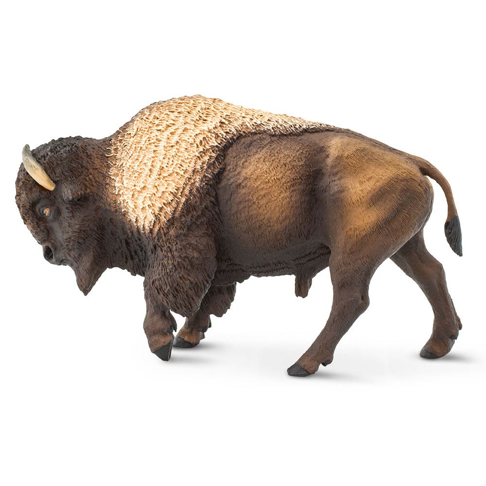 Safari Ltd North American Bison From 3 Years Brown