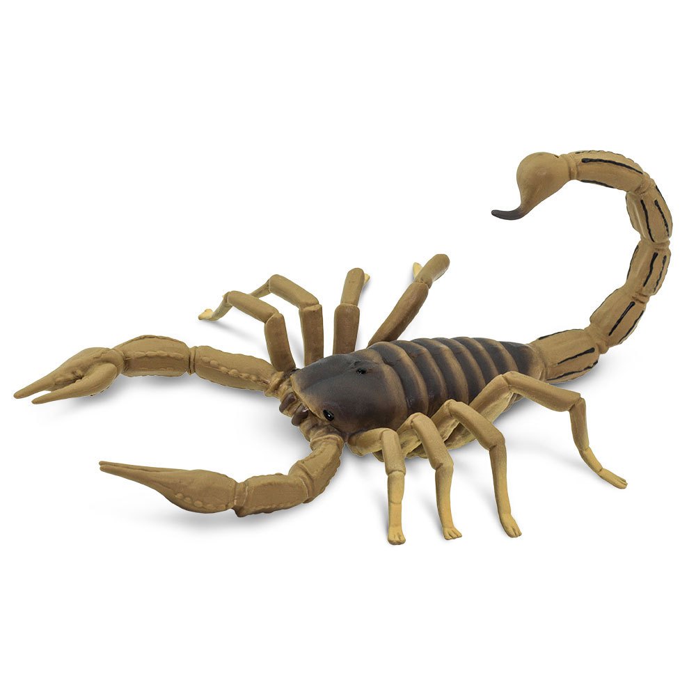 Safari Ltd Scorpion From 3 Years Brown