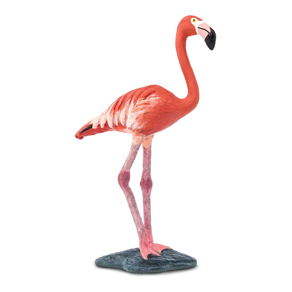 Safari Ltd Flamingo From 3 Years Pink