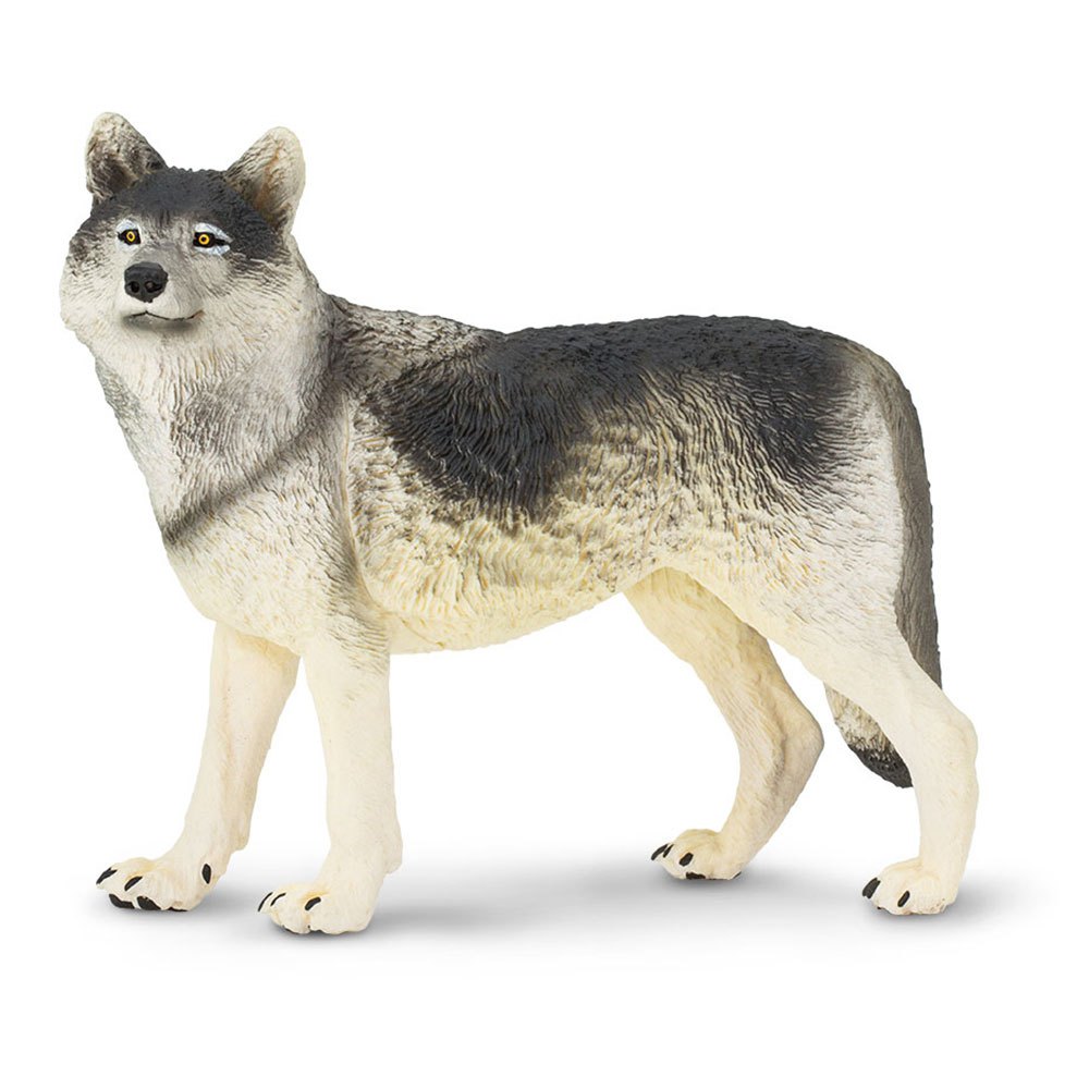 Safari Ltd Wolf From 3 Years White / Grey