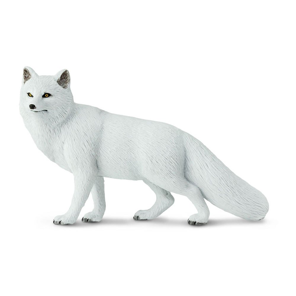 Safari Ltd Arctic Fox From 3 Years White