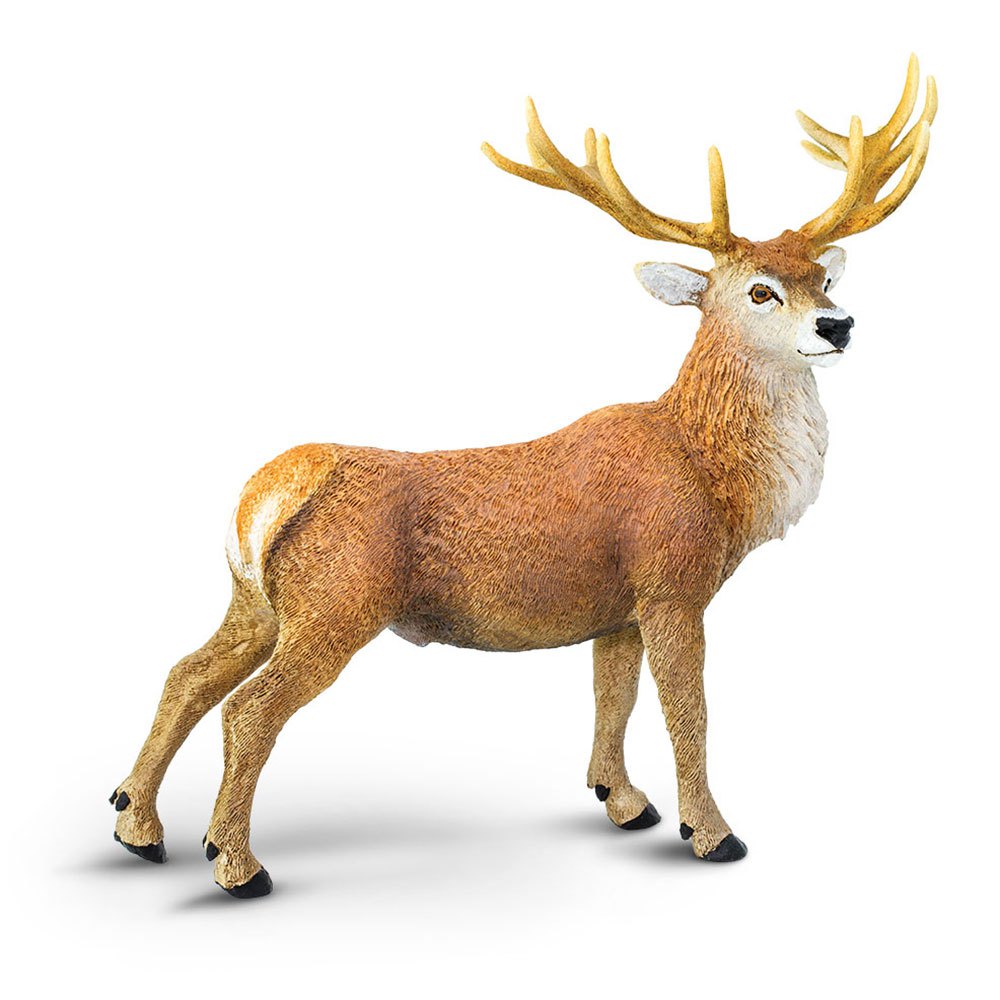 Safari Ltd Red Deer Buck From 3 Years Brown