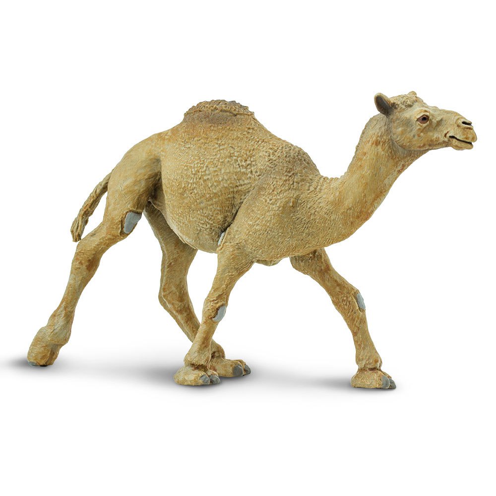 Safari Ltd Dromedary Camel From 3 Years Beige