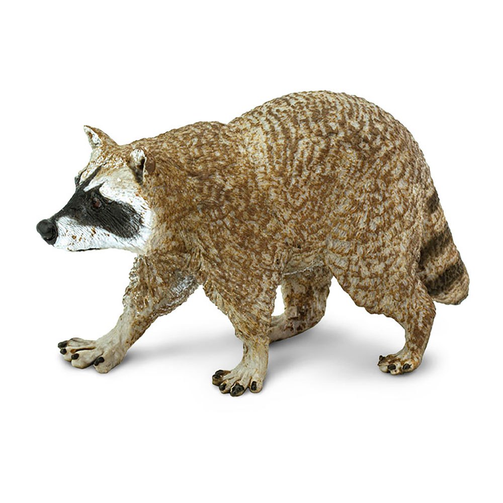 Safari Ltd Raccoon From 3 Years Brown / Beige