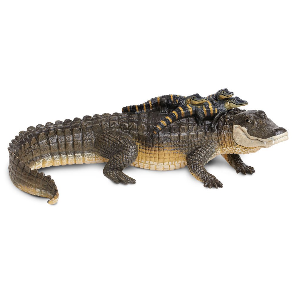 Safari Ltd Alligator With Babies From 3 Years Brown / Beige