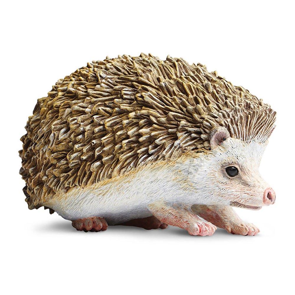 Safari Ltd Hedgehog From 3 Years Brown