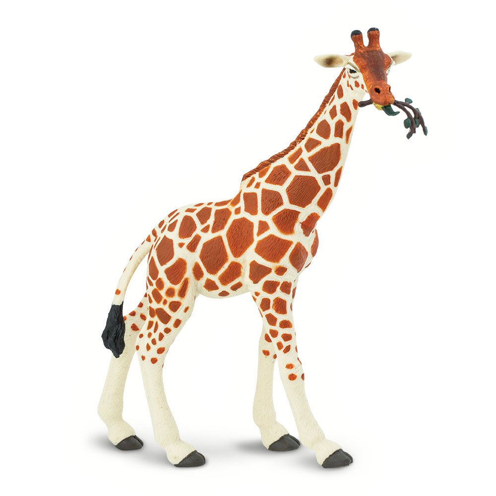 Safari Ltd Reticulated Giraffe Eating From 3 Years Brown / Beige