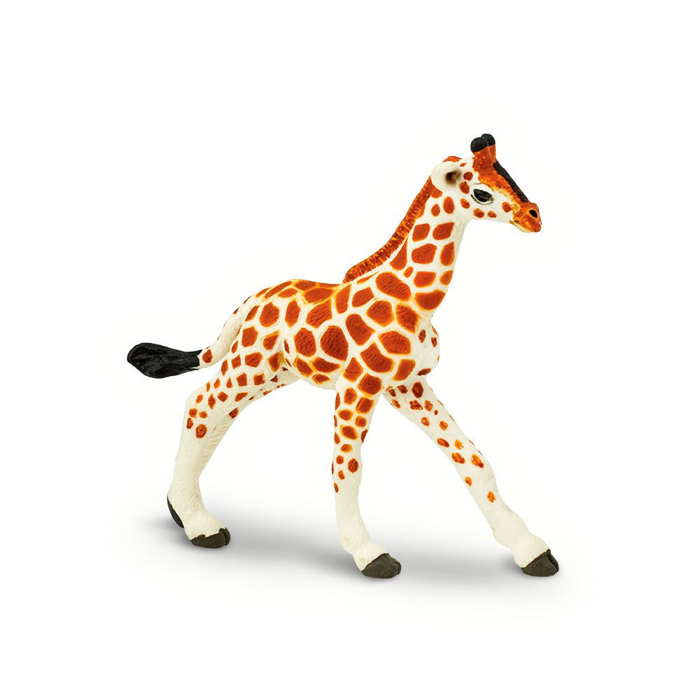 Safari Ltd Reticulated Giraffe Baby From 3 Years Brown / Beige