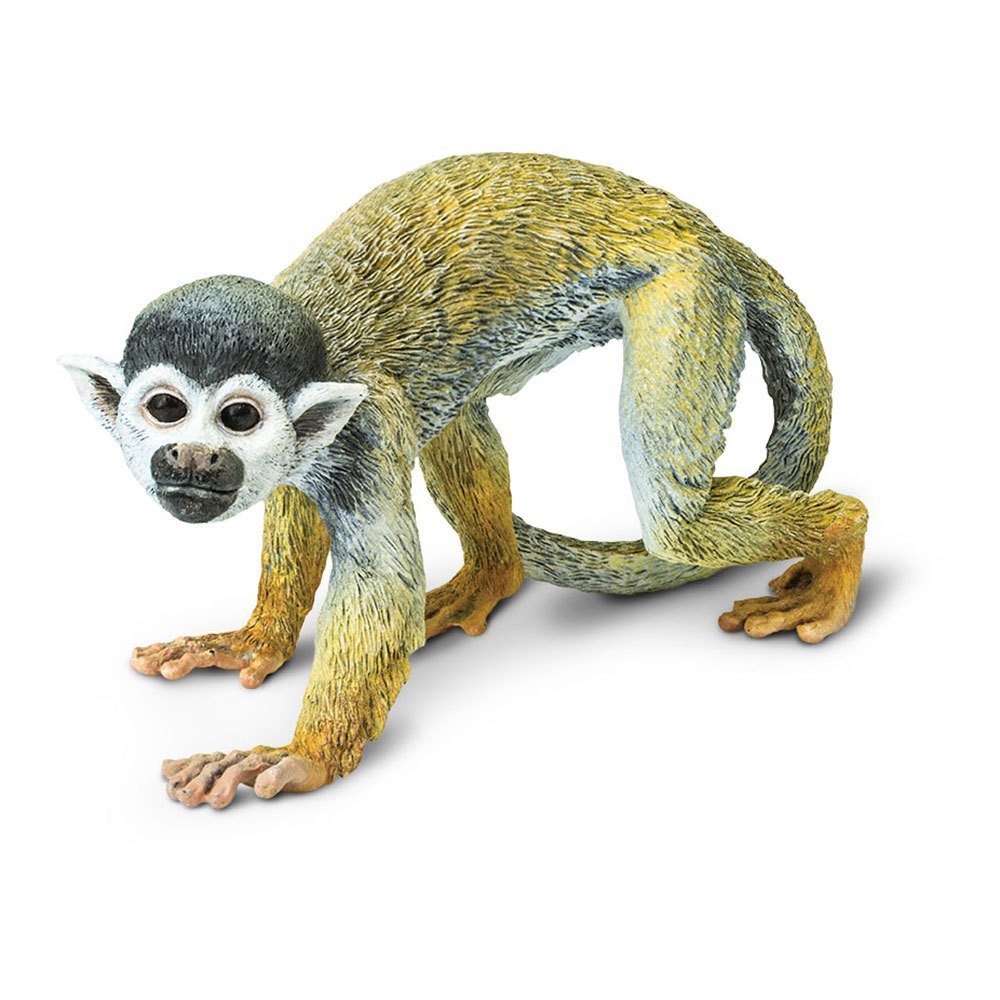 Safari Ltd Squirrel Monkey From 3 Years Brown / Beige