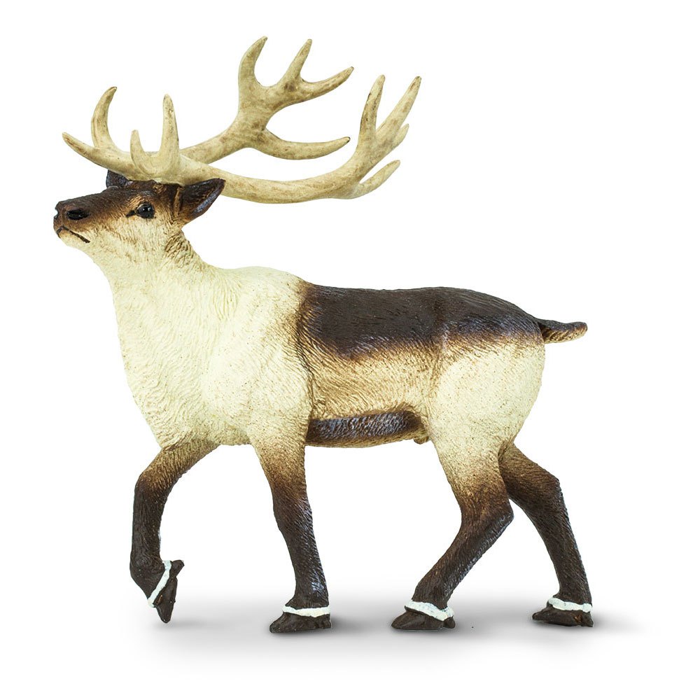 Safari Ltd Reindeer From 3 Years Brown / Beige
