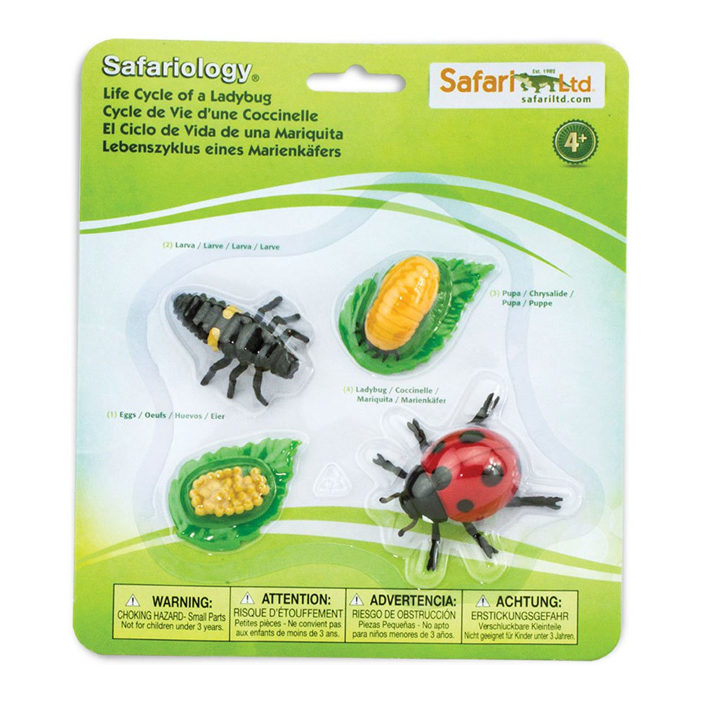 Safari Ltd Life Cycle Of A Ladybug From 3 Years Multicolor