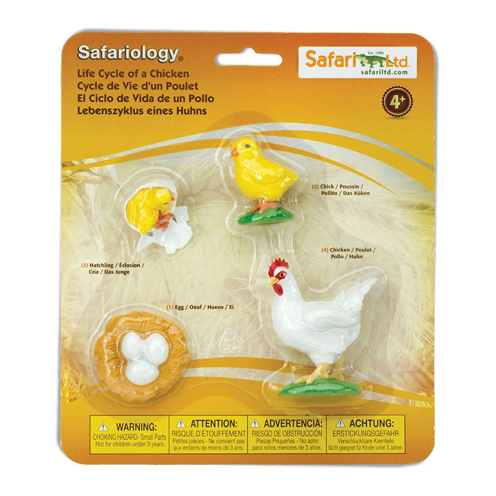 Safari Ltd Life Cycle Of A Chicken From 3 Years Multicolor