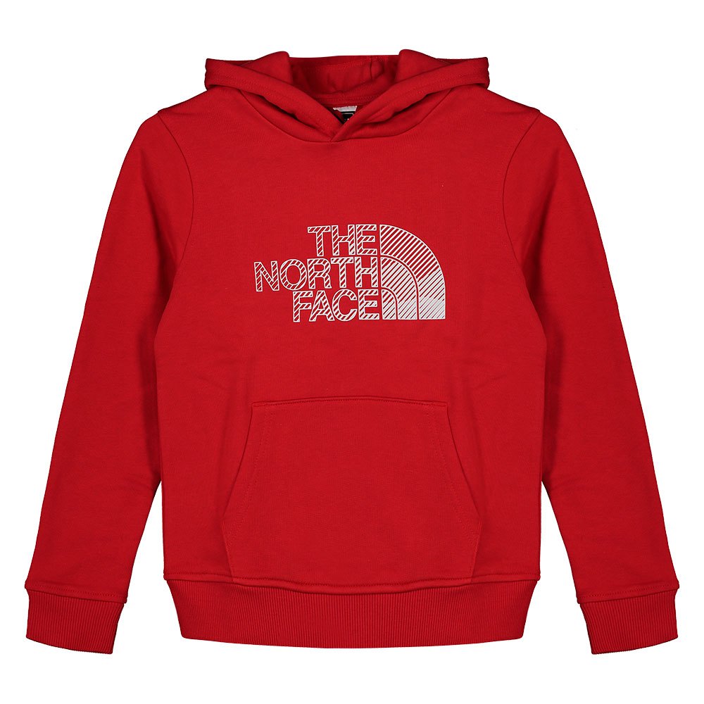 The North Face Biner Graphic S Rococco Red