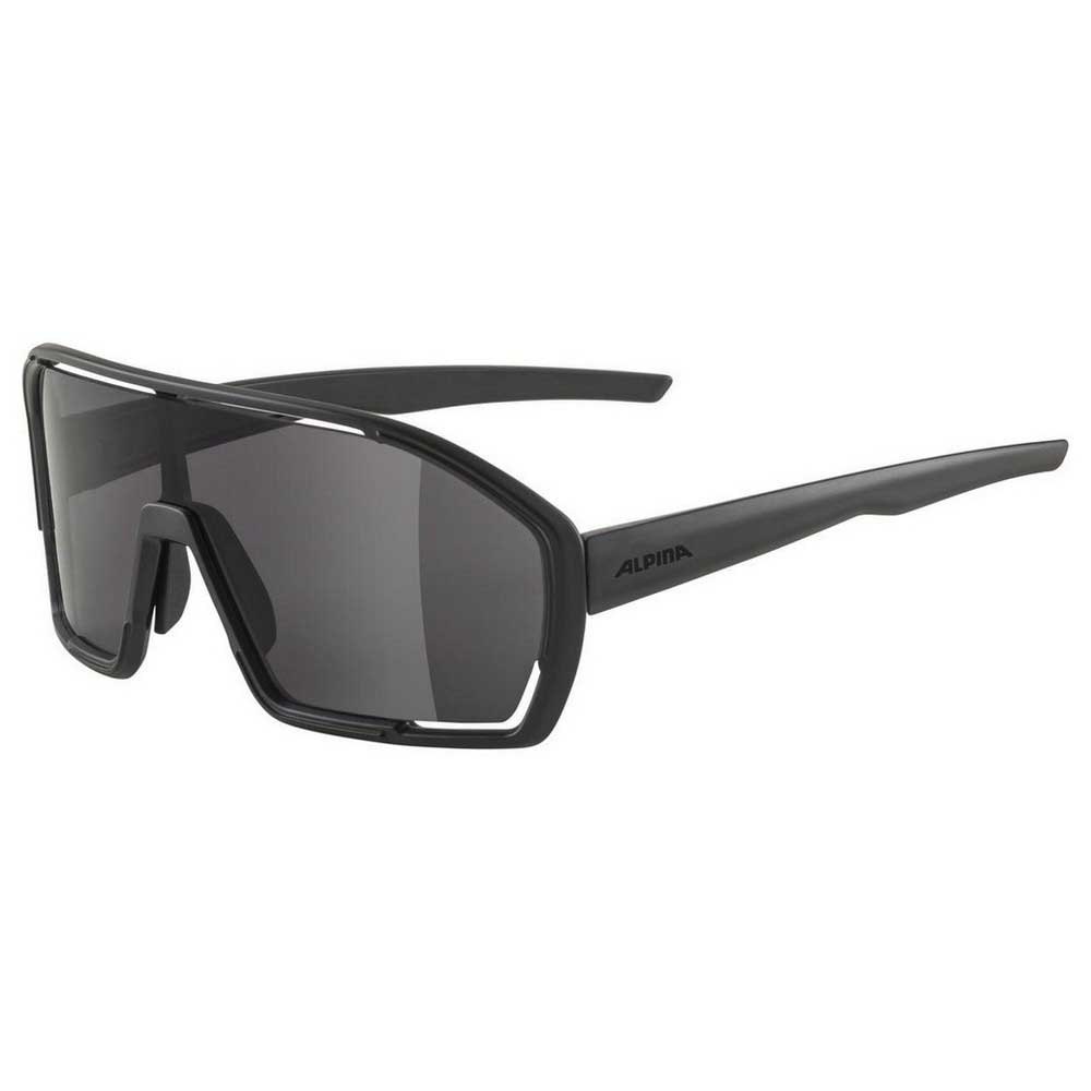 alpina snow bonfire sunglasses gris black/cat3