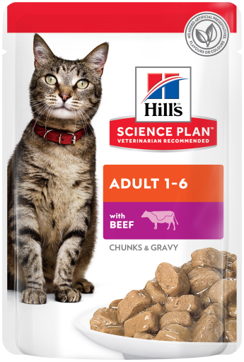 Science Plan Adult Sachets au Buf 85 gr Hill's