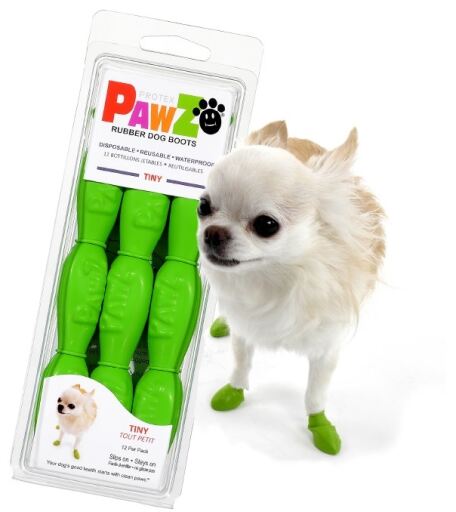 Bottes pour chiens Tiny Pawz dog
