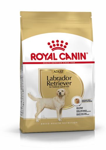 Labrador Retriever Adult 12 KG Royal Canin