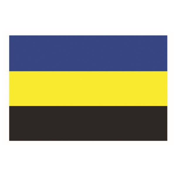 Província Gelderland 20 x 30 cm Blue / Yellow / Black