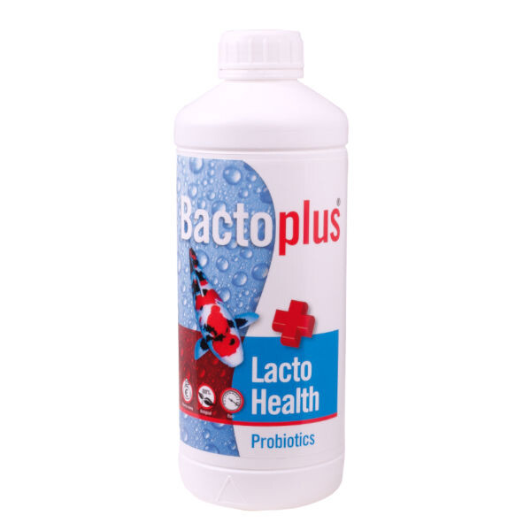 Bactoplus Lacto Health 1 Liter (Milchsurebakterien)